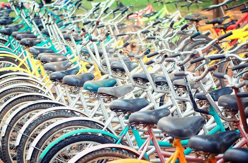 Auf einer Fahrrad-Entdeckungstour durch Herzberg (Elster) kann man Klimaanpassungsmaßnahmen in der Stadt kennenlernen.