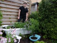 Ein »Bad in Grün« gibt es in Jouni Pietzschs Hausgarten.  Foto: Rainer Könen
