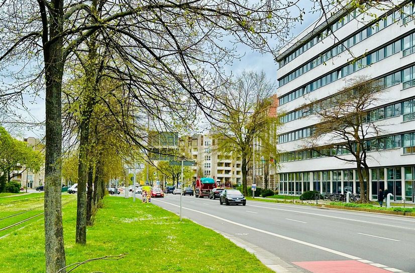 Zwischen Carolabrücke und Albertplatz sorgen Bäume für Grün.