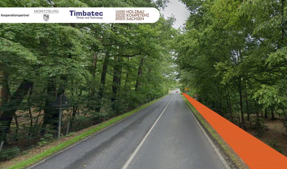 Der Holz-Fußweg hätte den Vorteil, dass er die Flächen nicht versiegelt.