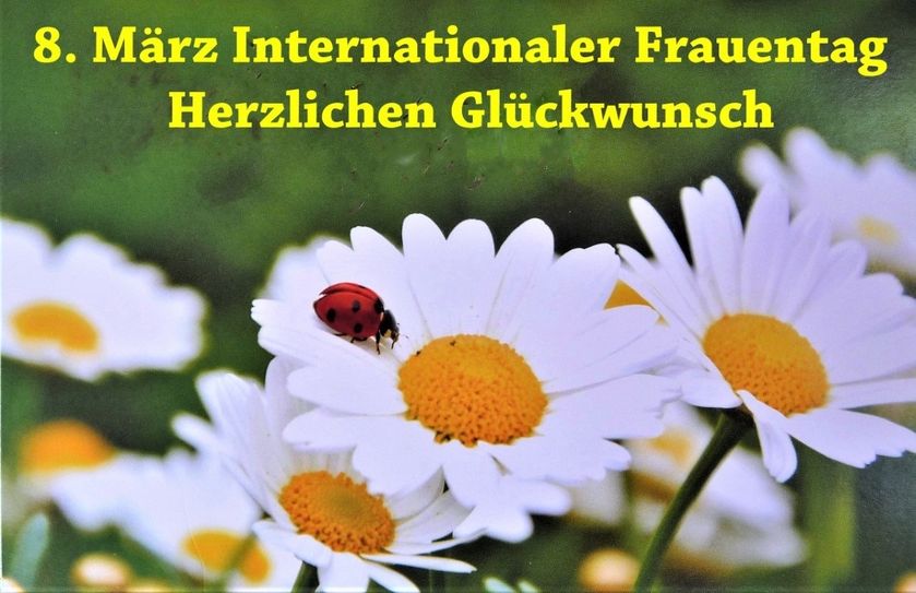Glückwünsche zum Frauentag.  Foto: PR