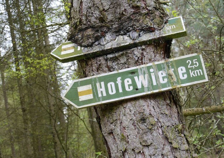Foto: Hofewiese