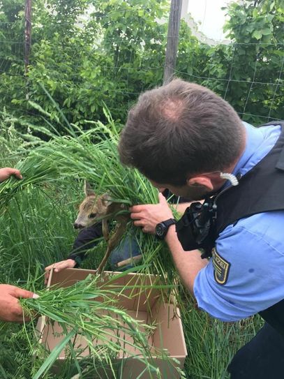 Foto: Polizei Dresden