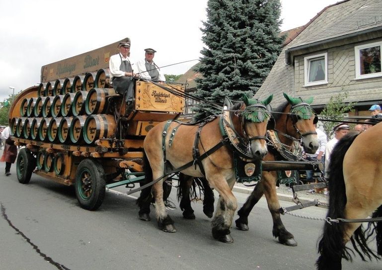 Sächsische Biervielfalt, acht Brauereigespanne und über 100 weitere Bilder im Festumzug gibt’s vom 23. bis 25. Juni in Eibau. Fotos: Sächsischer Brauerbund