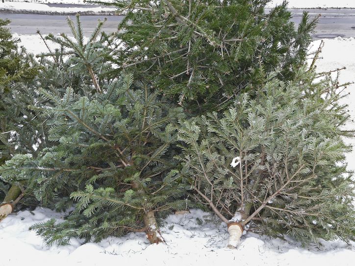 Foto: Konrad Weiss/ Fotolia.com