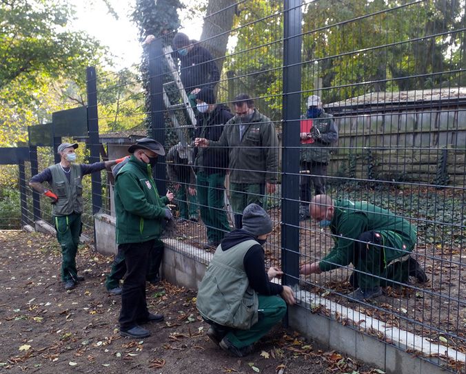 Über drei Jahre hat die Sanierung des Zauns gedauert. Foto: www.zoo-goerlitz.de, I. Plath