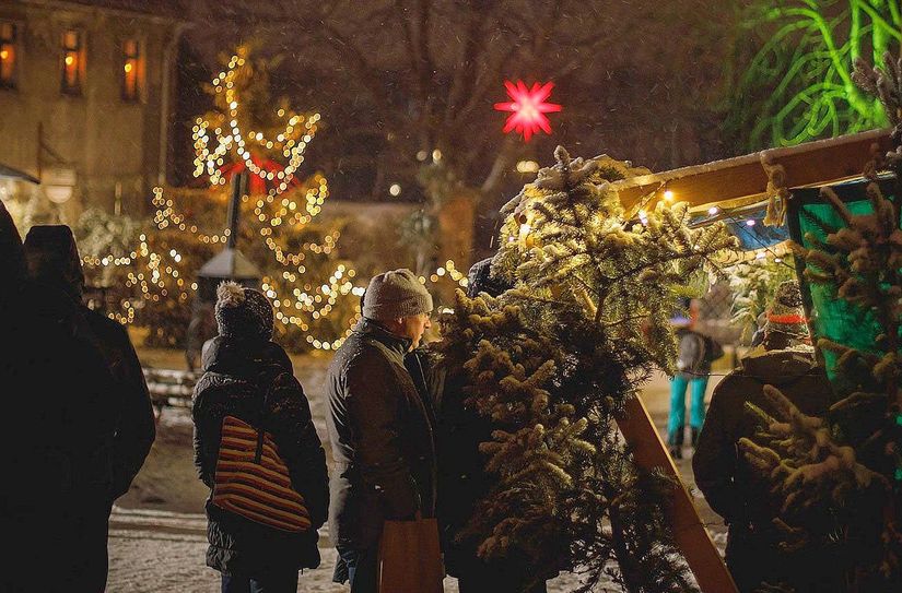 Die Gostewitzer Hofweihnacht bietet für alle ein Weilchen vorm Fest die Möglichkeit, einen Gang runter zu schalten und auf´s Land nach Gostewitz zu kommen.