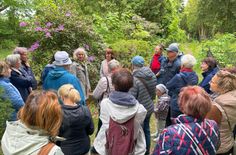 Mit Astrid Subatzus (grünes Halstuch), Diplom-Gartenbaupädagogin, ging es am Tag der Städtebauförderung durch den »Alten Friedhof« in Lübbenau. Das Gelände soll zu einem neuen, urbanen und klimaresilienten Grünraum umgestaltet werden.