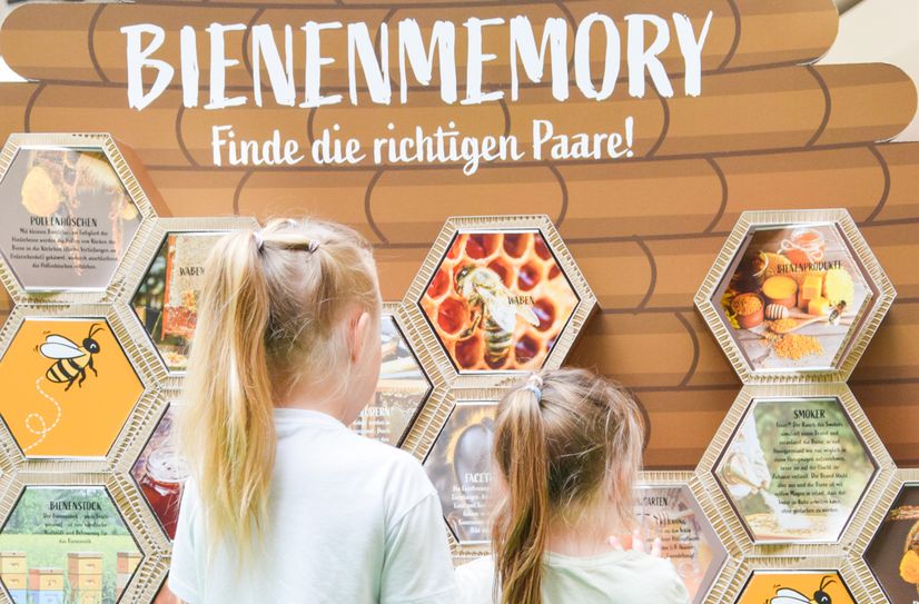 Beim Bienenmemory gilt es, die richtigen Paare zuzuordnen.