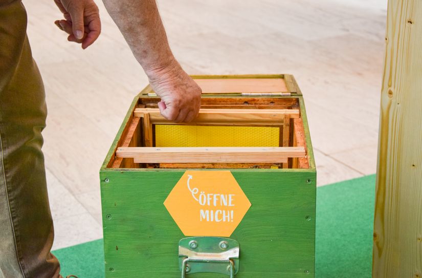 Auch originales Handwerkszeug von Imkern ist in der Ausstellung zu sehen.