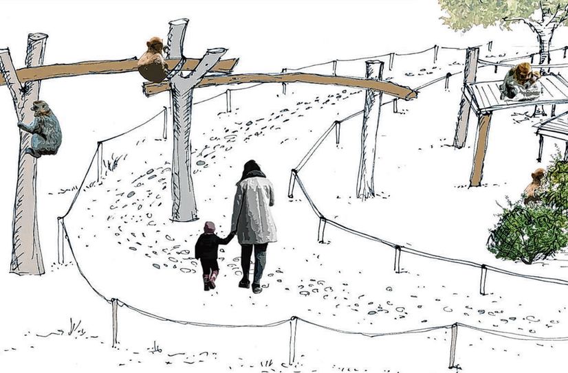 Der völlig neu gestaltete Affenberg mit Klettermöglichkeiten der Tiere über die Wege der Besucher hinweg, sollen besonders reizvoll und spannend für die Gäste  werden.