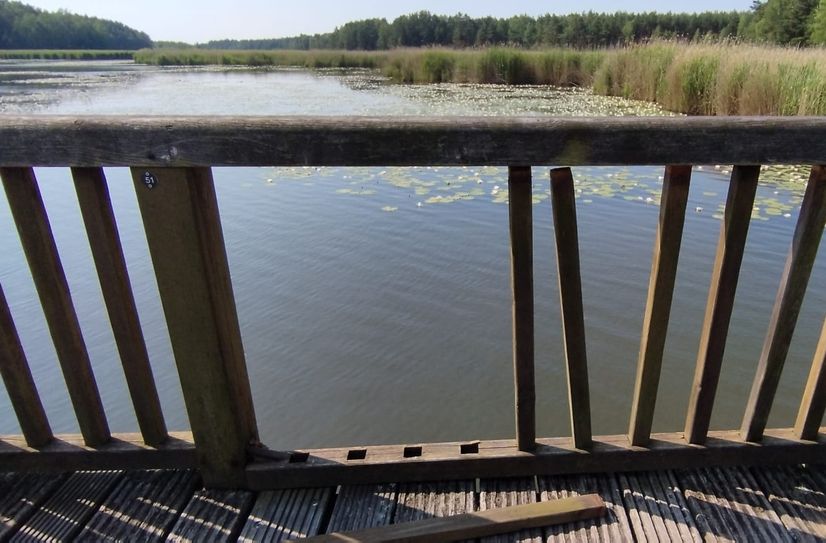 Schäden an der Braunsteichbrücke. Foto: Stadtverwaltung