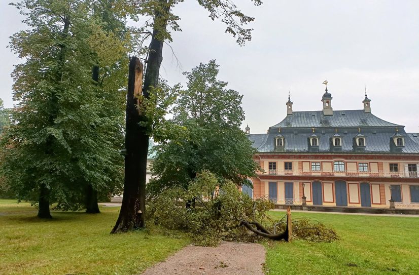 Ein Astabbruch hinter dem Bergpalais.