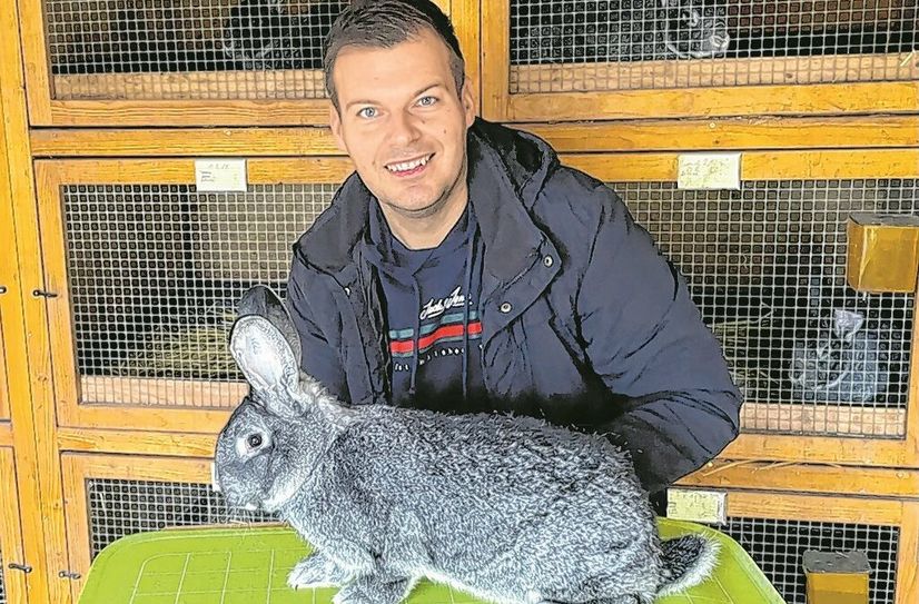 Marcus Langer, stellv. Vorstandsvorsitzender und Ausstellungsleiter, mit seinem Großchinchilla. Beide sind bei der Ausstellung dabei.