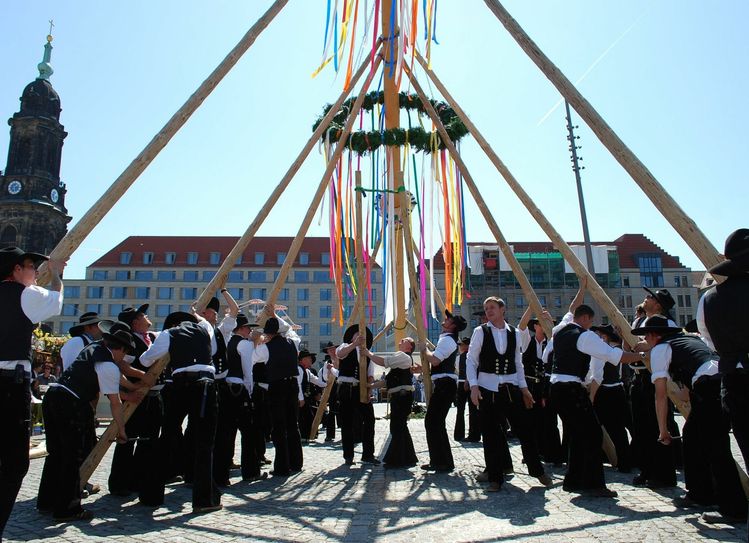 Dresdner Zimmerleute beim Setzen des Maibaums. Foto: Archiv