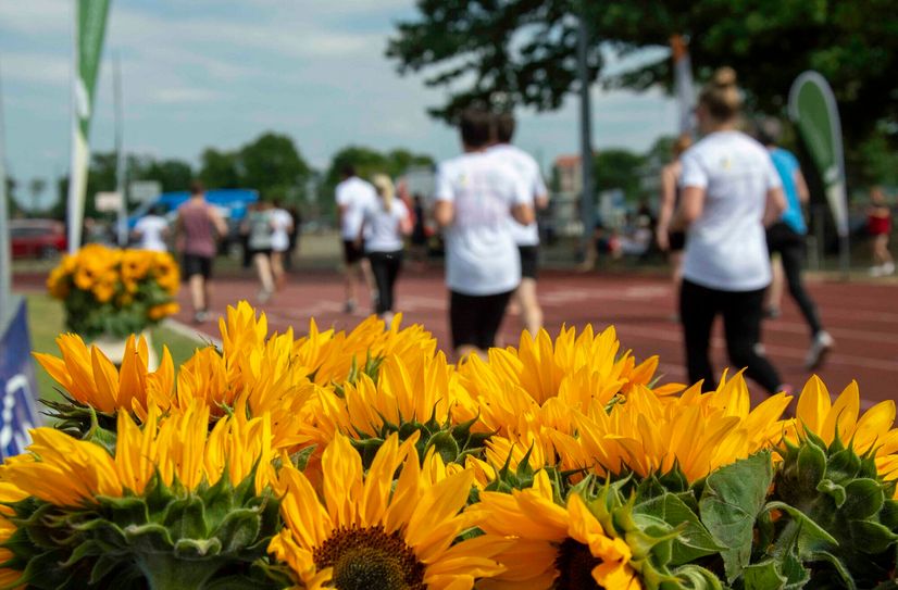 Beim Sonnenblumenlauf sportlich betätigen und dabei noch etwas für den guten Zweck tun.