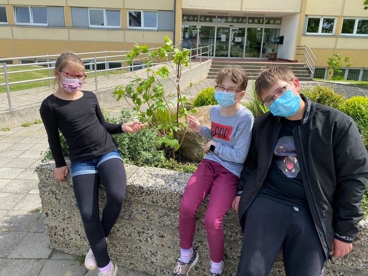 Schüler des Förderzentrums „Mira Lobe“ haben den neuen Fächerahorn ins Hochbeet gepflanzt. Foto: Förderzentrum