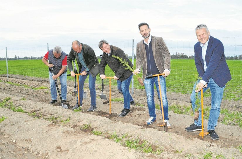 Michael Seifert, Ortsvorsteher von Rostig, Matthias Schmieder, Oberbürgermeister Sven Mißbach und die Geschäftsführer von Kronospan, David Brenner sowie Tino Hesse (v.l.) beim Pflanzen der Bäume.