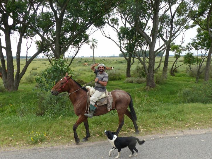 In der grünen Natur Uruguays sind Wagners nie ganz allein...