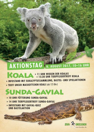 Plakat / Zoo Dresden