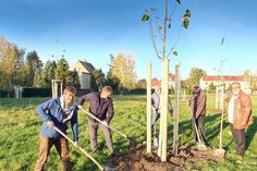 Coswigs Bürgermeister (2.v.l.) und Coswiger Stadträte halfen bei der Pflanzung eines der ersten Begrüßungsbäume Foto: Stadtverwaltung/Tranberg