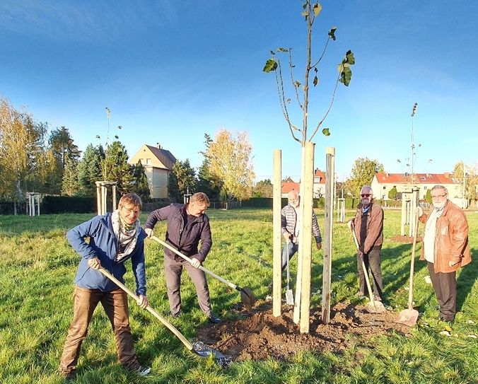 Coswigs Bürgermeister (2.v.l.) und Coswiger Stadträte halfen bei der Pflanzung eines der ersten Begrüßungsbäume Foto: Stadtverwaltung/Tranberg