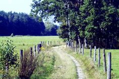 Beim Fotowettbewerb werden unter anderem abwechslungsreiche Landschaften und Naturschönheiten gesucht, so wie hier die Orla-Wiesen bei Ottendorf-Okrilla. Foto: Matthias Stark