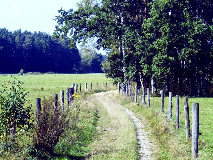Beim Fotowettbewerb werden unter anderem abwechslungsreiche Landschaften und Naturschönheiten gesucht, so wie hier die Orla-Wiesen bei Ottendorf-Okrilla. Foto: Matthias Stark
