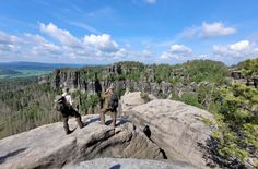 Wanderfalken nutzen im Nationalpark Sächsische Schweiz vor allem ruhige Felswände für ihre Brut. Ranger haben u.a. die Aufgabe, die Vorkommen solcher Arten zu dokumentieren, Besucher zu sensibilisieren und Schutzmaßnahmen durchzuführen.