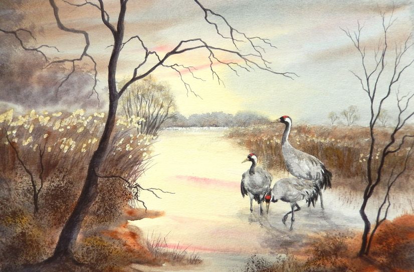 »Kraniche«, Aquarell von Gudrun Stark.