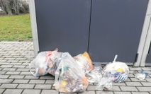 Hausmüll achtlos vor die Tonne geworfen.