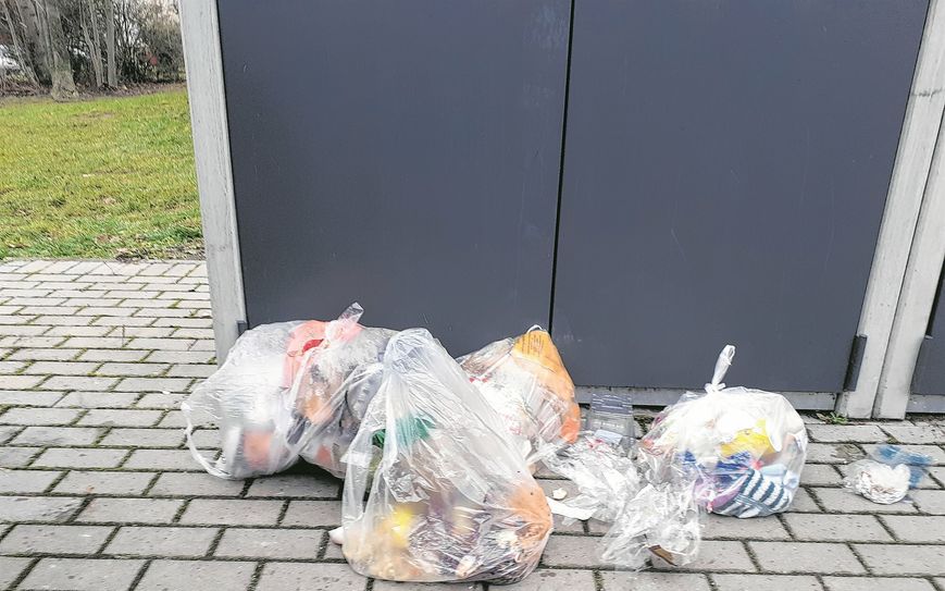 Hausmüll achtlos vor die Tonne geworfen.