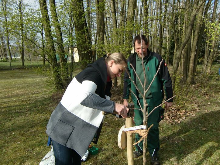 Die zwei neuen Apfelbäume wurden am 19. April gepflanzt.