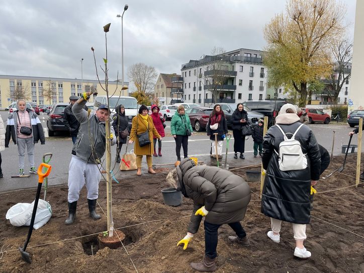Die ukrainische Gemeinschaft hat sechs Magnolien an der Bahnhofstra0e gepflanzt - als Dank für die Gastfreundschaft der Cottbuser.