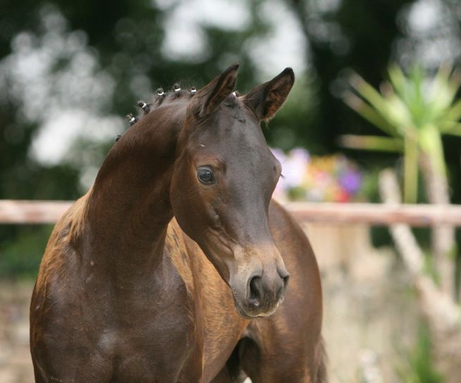 Foto: privat