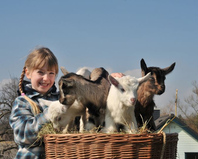 Foto: fotolia