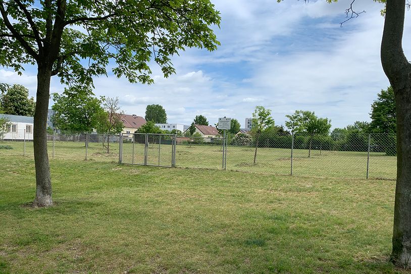 Die mögliche Hundewiese in der Beethovenstraße. Foto: pm