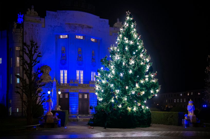 Weihnachtsbaum vor dem Großen Haus.