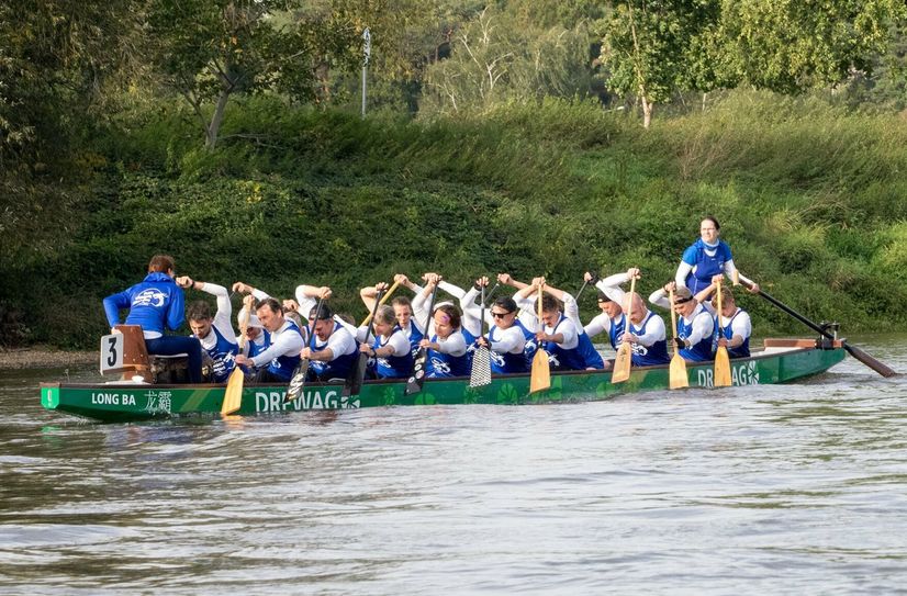 Die "Blue Wonder Dragons" beim Wettbewerb "Blaues Band des WSV" auf der Elbe.