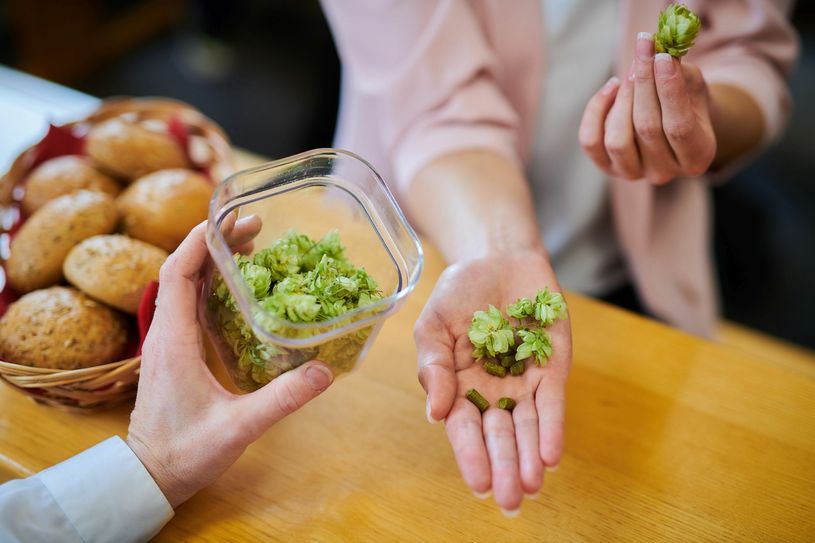 Ohne Hopfen kein Bier