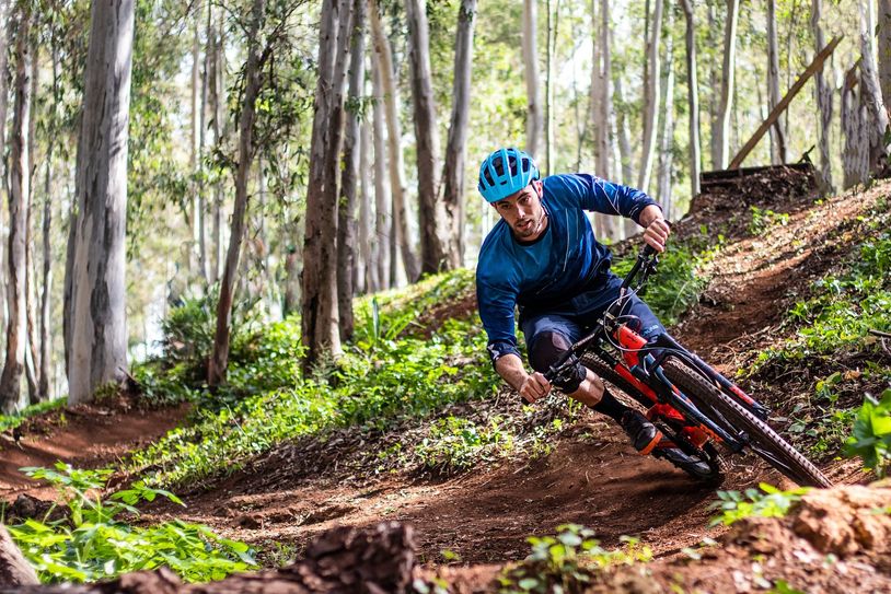 Sorgen bei Wanderen oftmals für Ärger: Mountainbiker im Wald.  Foto: pixabay
