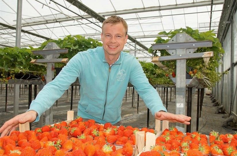 Michael Görnitz aus Coswig wartet schon auf seine Hummelvölker, damit die Ernte wieder so gut ausfällt wie hier zu sehen.