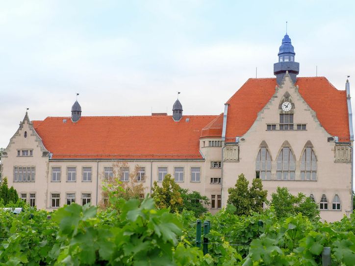 Ehrwürdig tront das Franziskaneum auf dem Hügel Kändlerstraße in Meißen. Vor Ferne ahnt man nicht, dass die riesige Schule bereits aus allen Nähten platzt und für die vielen neuen Schüler viel zu eng wird.   Foto: Geyer