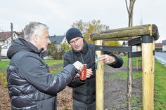 Tino Hesse, der Geschäftsführer der deutschen Holding Kronospan (l.), und Matthias Schmieder, Geschäftsbereichsleiter Stadtkultur und Ordnung, beim Anbringen des »Typenschildes« an eine der frisch gepflanzten Mongolischen Linden auf dem Folberner Dorfanger.