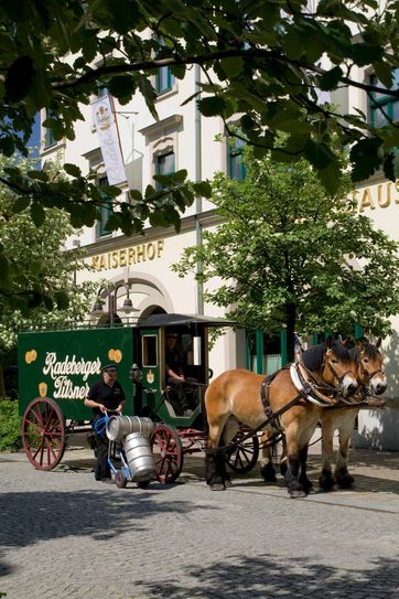 Radeberger Fassbierkutsche bei Belieferung des Radeberger Brauerei-Ausschanks in Radeberg. Foto: Radeberger Exportbierbrauerei