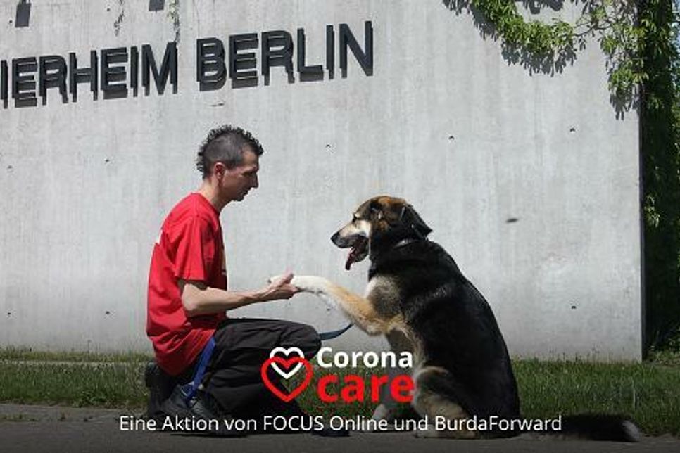 Gerade in Zeiten des Coronavirus benötigen Tierheime Unterstützung. Foto: Annette Rost, Tierheim Berlin
