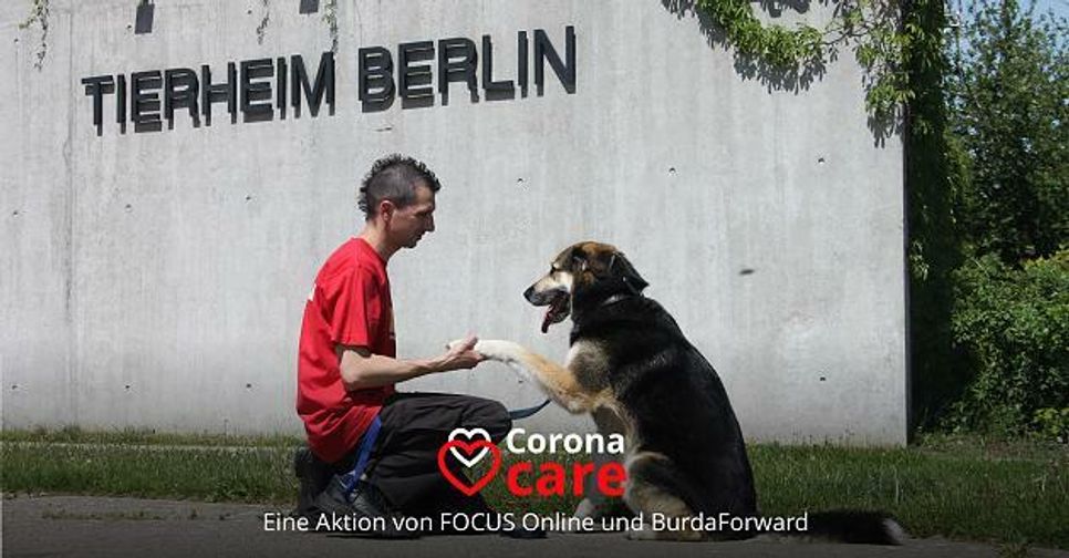 Gerade in Zeiten des Coronavirus benötigen Tierheime Unterstützung. Foto: Annette Rost, Tierheim Berlin