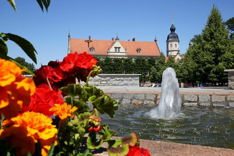 Der Riesaer Rathausplatz wird rund um den Zunftbaum und die Brunnenanlage jedes Jahre bunt bepflanzt.