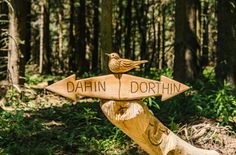 Egal ob Hier oder Dort - für jeden Geschmack wird die passende Tour angeboten.
