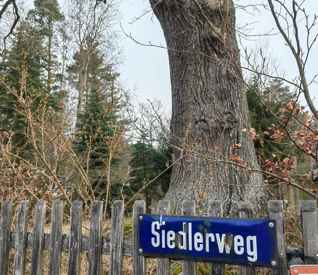 Der Siedlerweg liegt hinter der ersten Eigenheim-Reihe an der Großenhainer Straße am Auer.